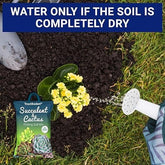 Succulent and Cactus Potting Soil Mix (350gm)